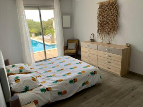 Maison dans la garrigue